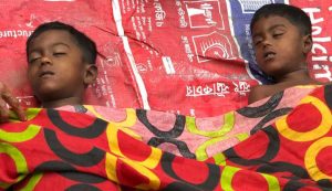 ব্রাহ্মণপাড়ায় নানা বাড়িতে পানিতে ডুবে দুই ভাইয়ের মৃ’ত্যু”